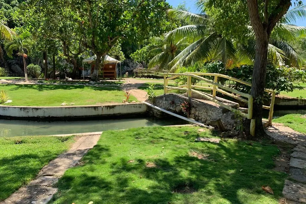 Contemporary Ocean View 2Bed Carib Ocho Rios Condo Apartment