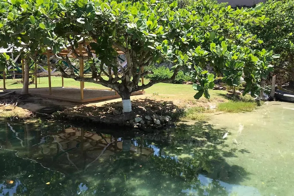 Apartment Contemporary Ocean View 2Bed Carib Ocho Rios Condo Jamaica
