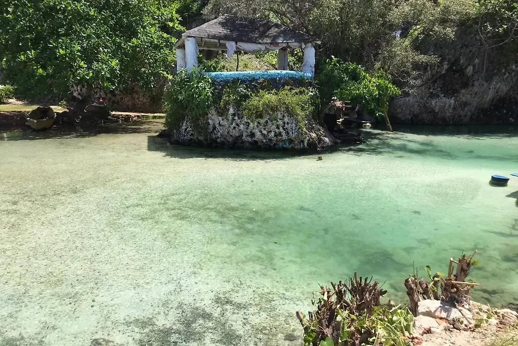 Apartment Contemporary Ocean View 2Bed Carib Ocho Rios Condo